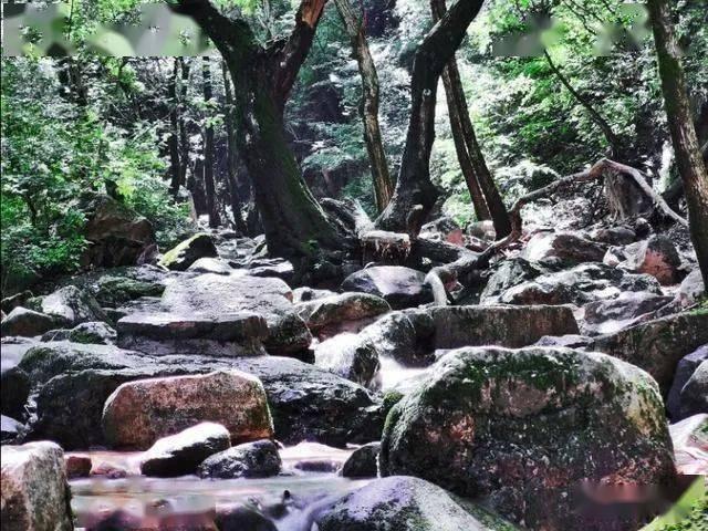 河南信阳的明星都有谁啊？游戏画面